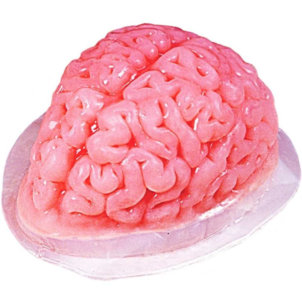 Plastic Brain Jello Mold Great for Halloween