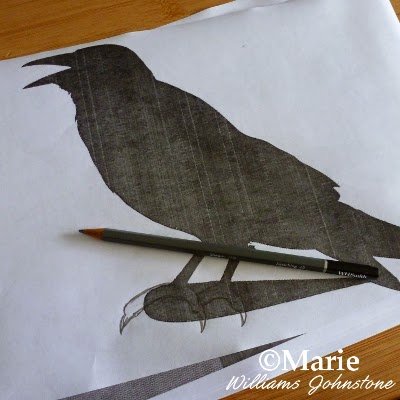 Drawing claws onto a printed image of a bird
