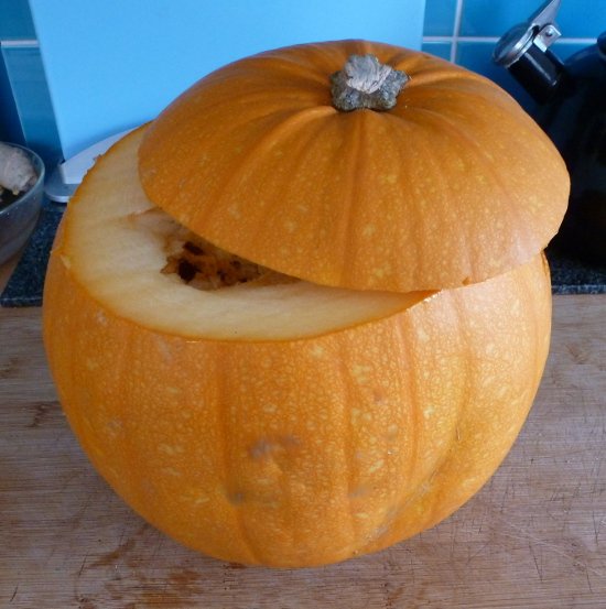 Lid top with stem cut off from pumpkin