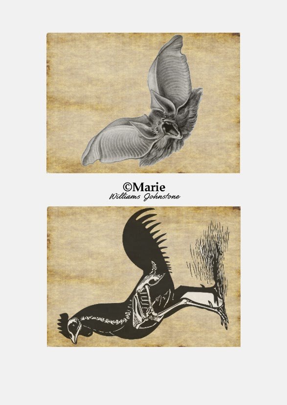 Bat and Skeletal Hen Free Printouts to Make a Banner Black and White and Grayscale Bat and Skeletal Hen or Chicken