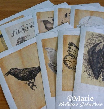 Selection of printed sheets of paper with black and white images on sepia backgrounds