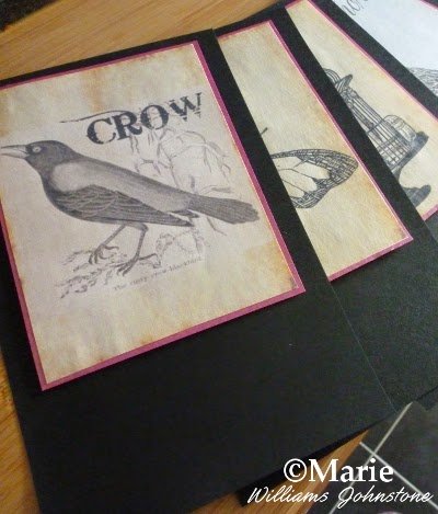 Black and white crow bird design on sepia background mounted onto pennant flag section