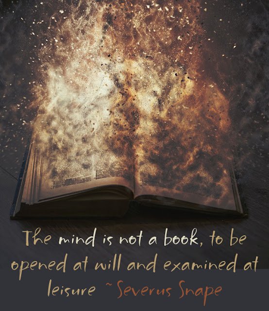 Book burning pages 