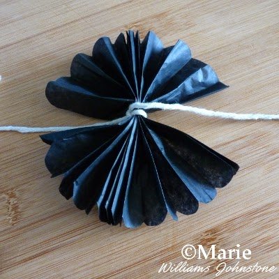 Black tissue fanned out to make a rosette