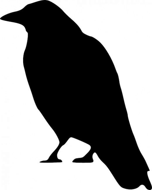 Black bird Halloween silhouette free image