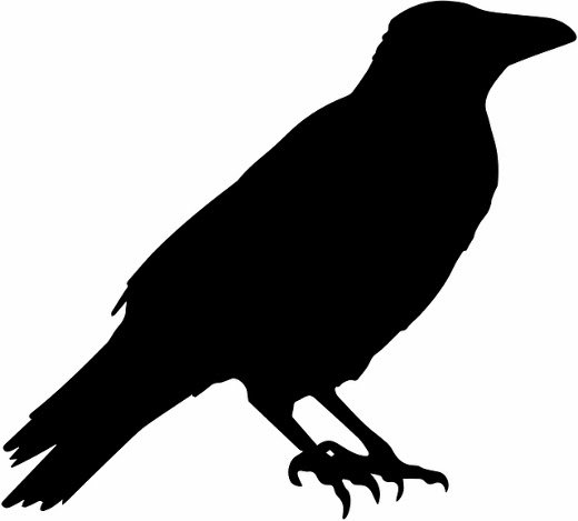 Large crow black image free printable